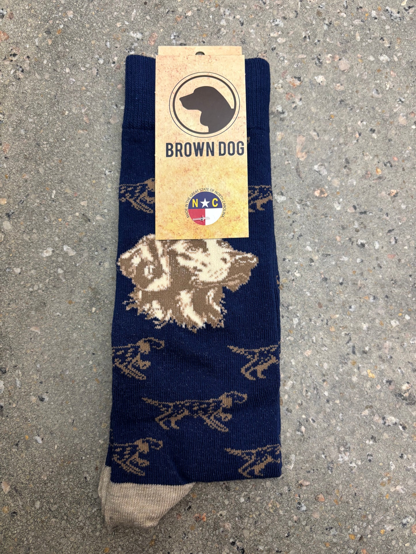 Brown Dog English Setter - Insignia Blue