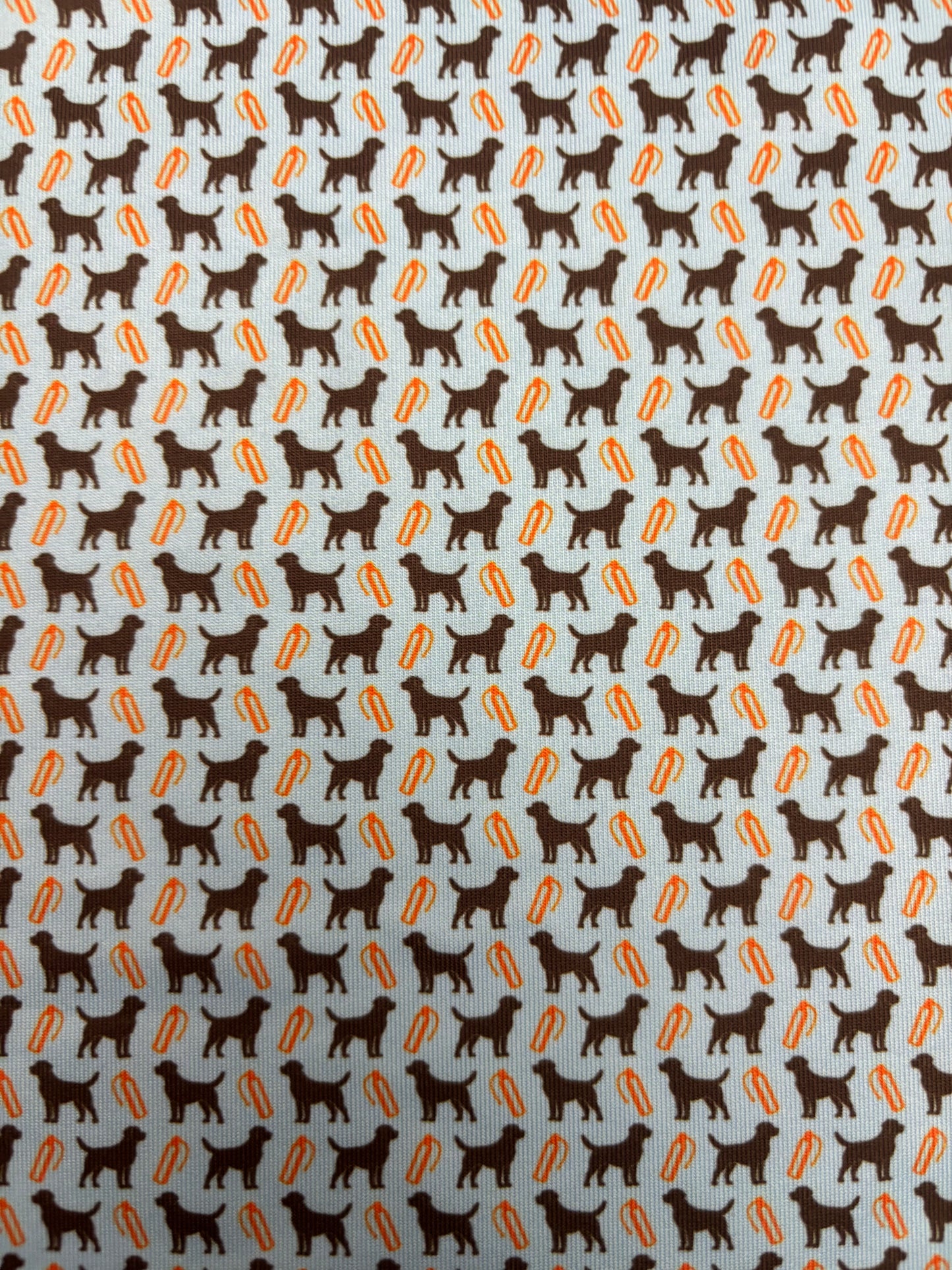 Prairie Oaks Polo - Labs & Bumpers