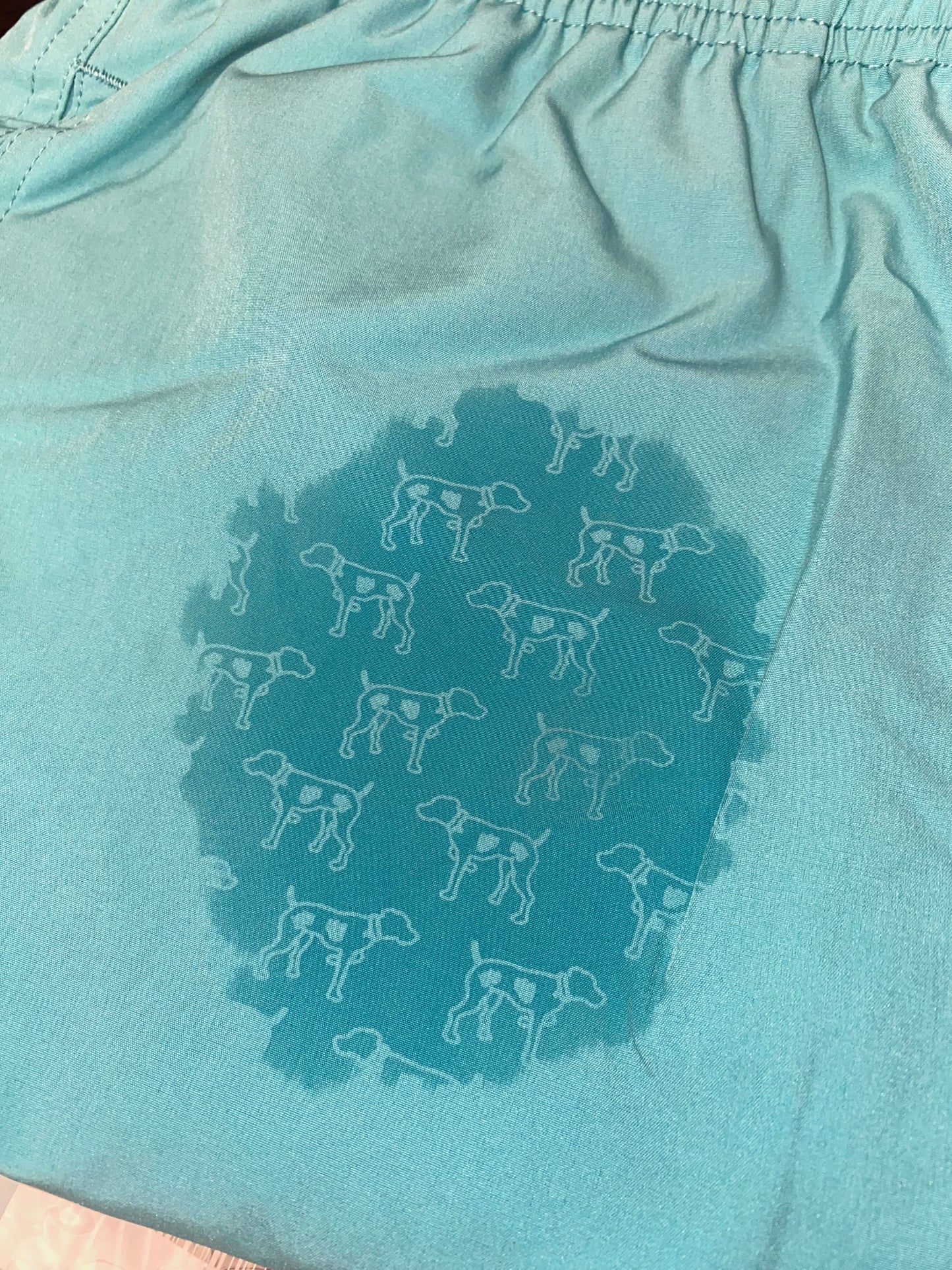 Southern Point Patterned Trunk - Pacific Blue