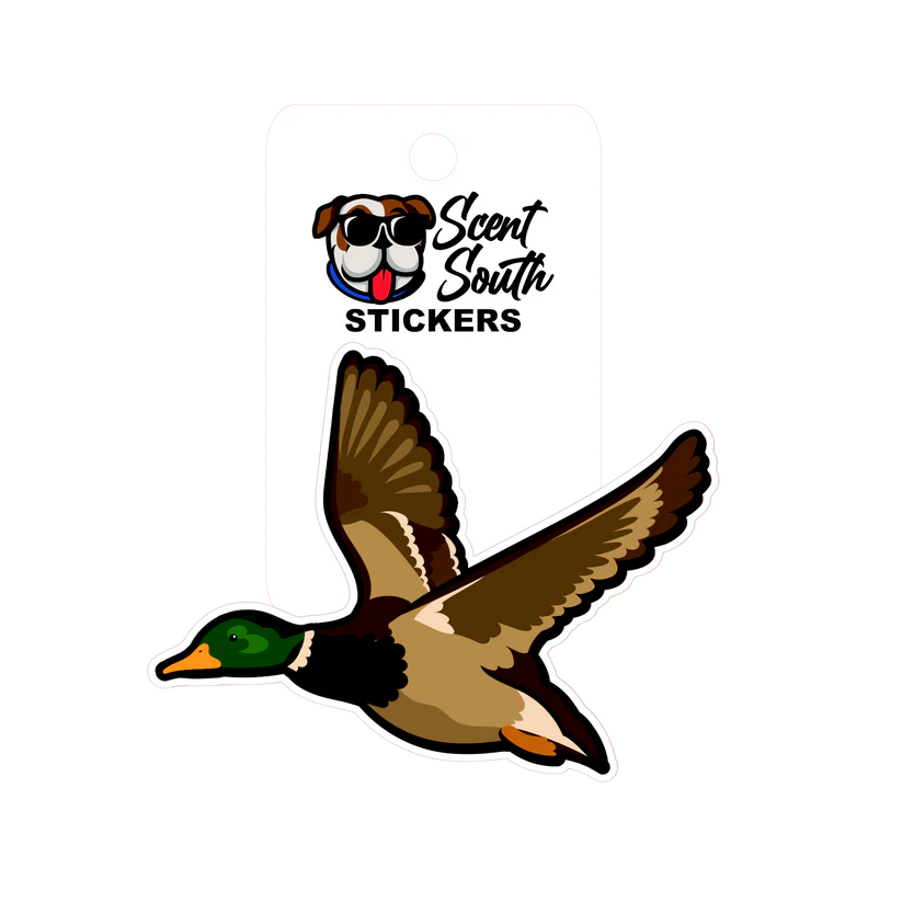 Scent South Mallard - Sticker