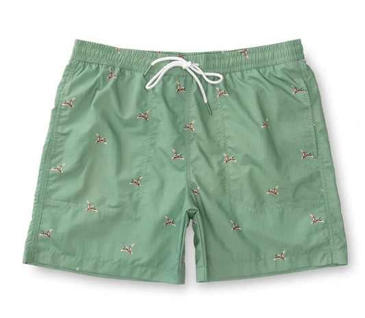 Duck head 6" Mallard Swim Short - Rowing Green