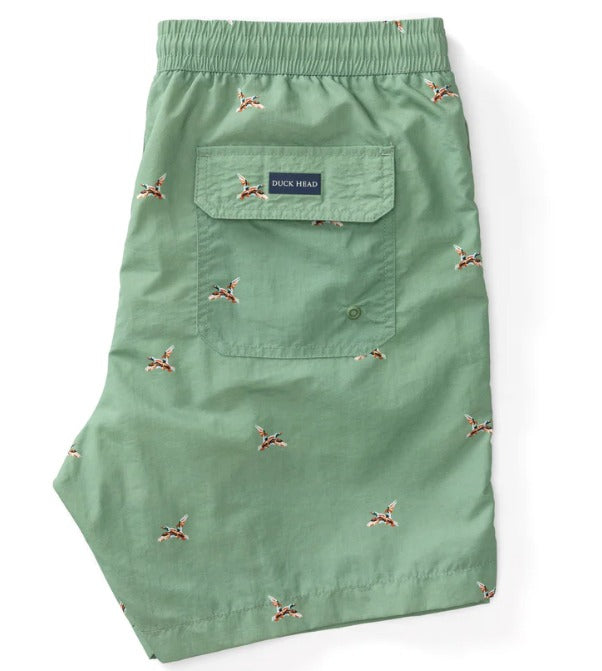 Duck head 6" Mallard Swim Short - Rowing Green