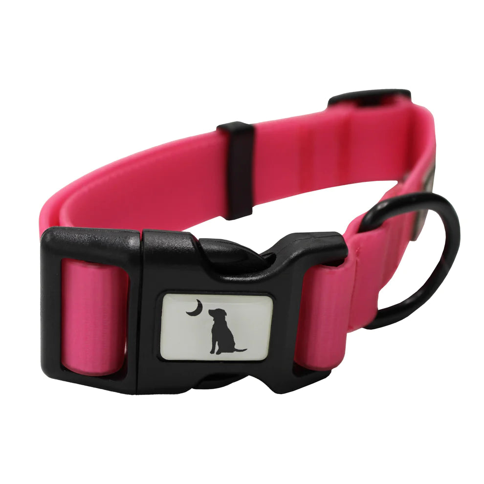 Local Boy Dog Collar - Hot Pink