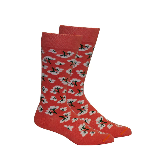 Brown Dog High Cotton Dubarry Socks