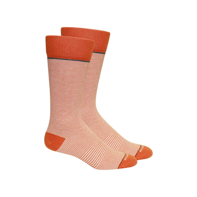 Brown Dog Stand Up Stripe Orange-White