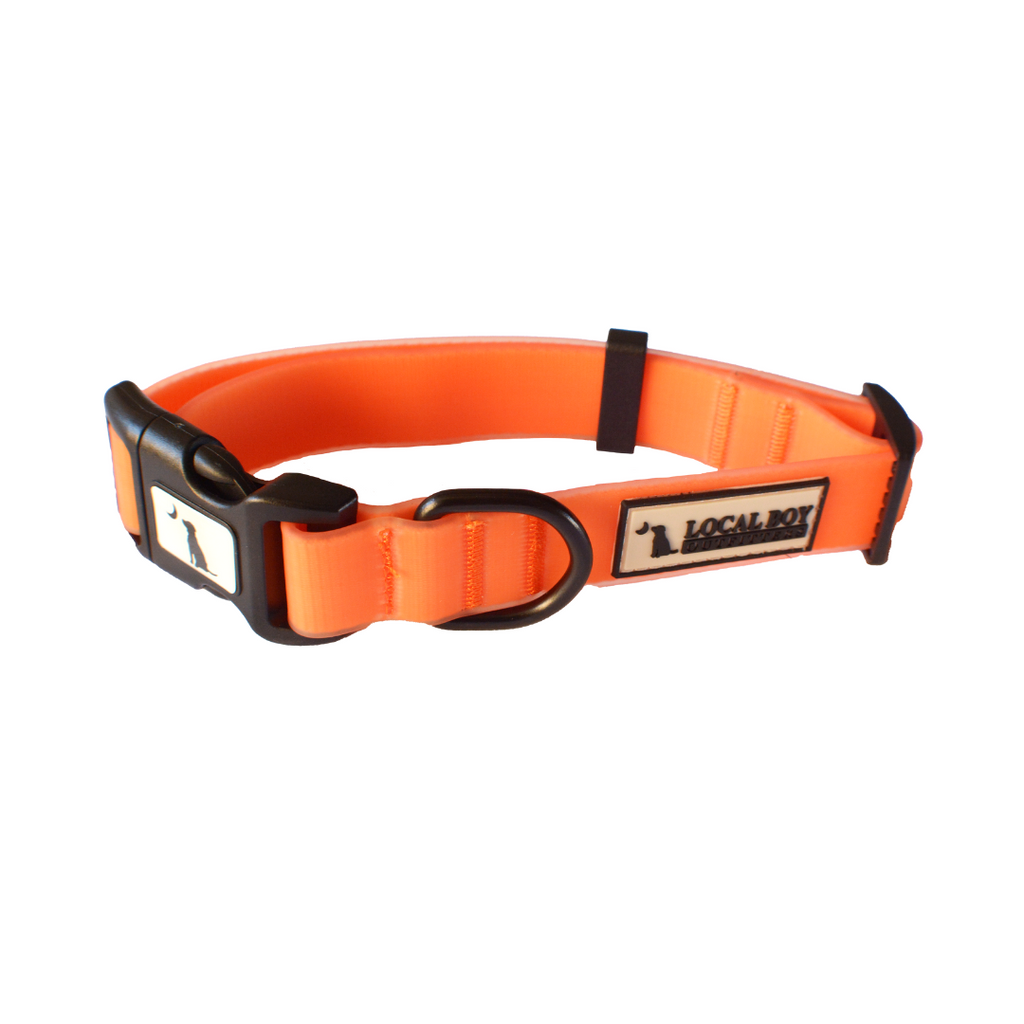 Local Boy Dog Collars