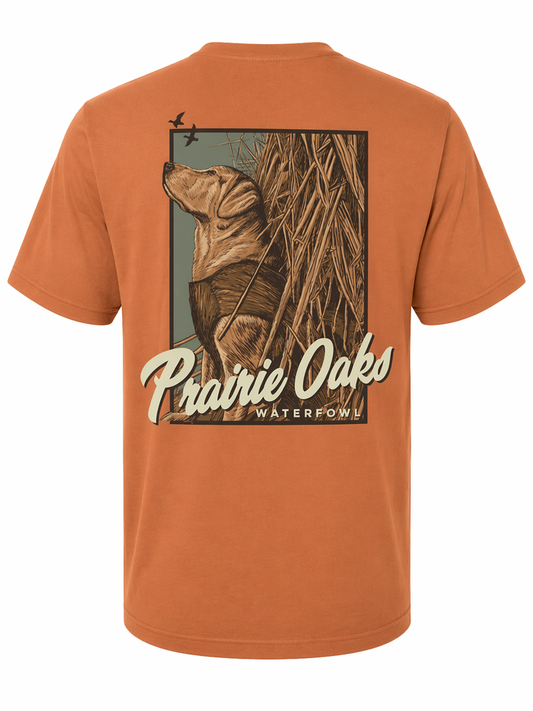 Prairie Oaks Yellow Lab In Blind - Texas Orange