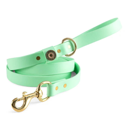 Heybo Biothane Dog Leash - Mint