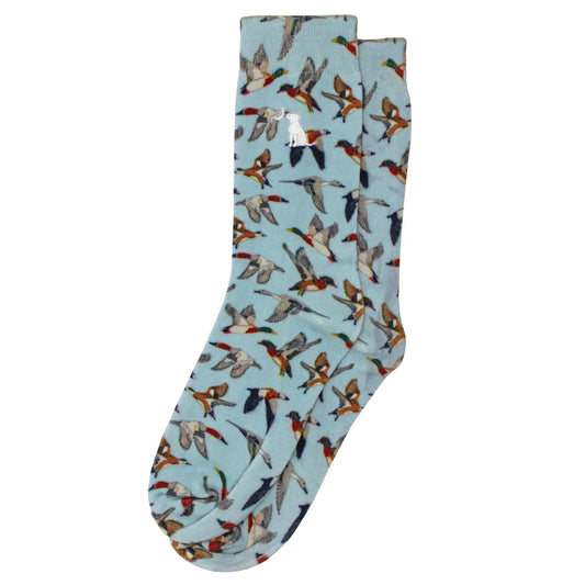 Local Boy Dress Socks - Blue Skein