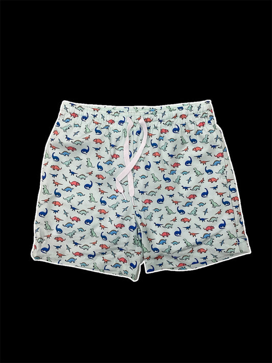 Meripex Youth Dino swim Shorts - Mint