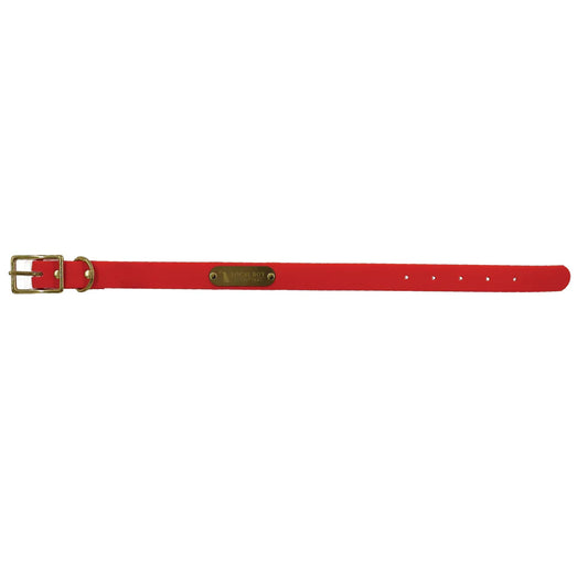Local Boy Biothane Dog Collar - Orange