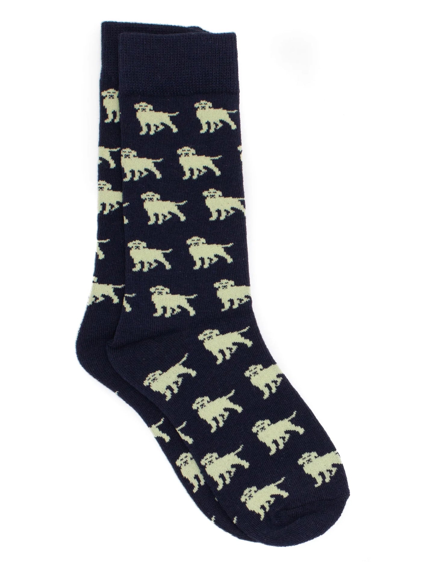 Properly Tied Boys Lucky Duck Sock Golden Retriever